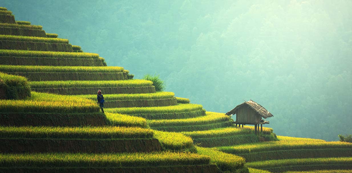 Ասիայի լավագույն տուրիստական ուղղությունները՝ ըստ Lonely Planet-ի